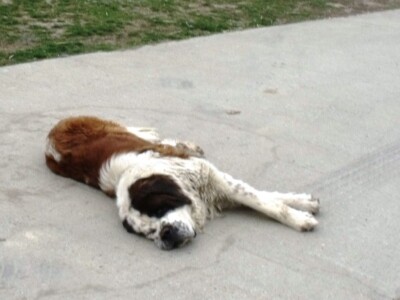 Bernardinci Luna i Beni Bernardinci Luna i Beni