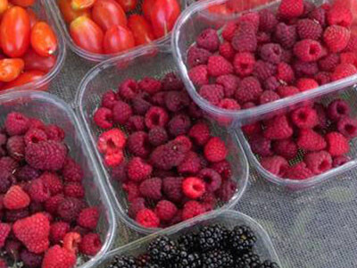 OPG Cetinić Frankos OPG Cetinić Frankos