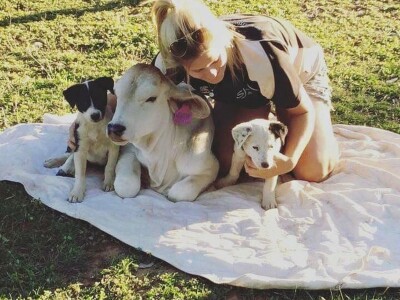 Društvo su joj psi i ljudi