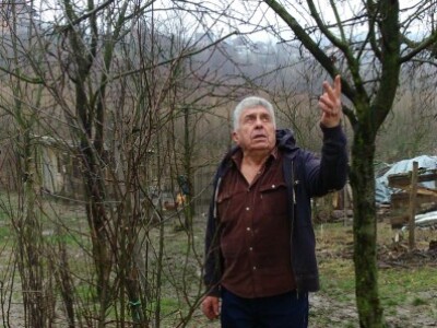 U voćnjaku Vahida Beširevića