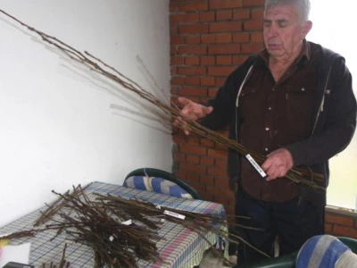 Vahid Beširević