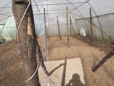 Bez zagrijavanja plastenika nemoguće je proizvesti kvalitetnu rasadu