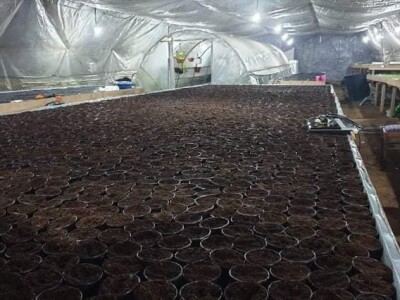 Bez zagrijavanja plastenika nemoguće je proizvesti kvalitetnu rasadu