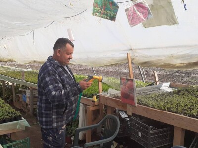 Bez zagrijavanja plastenika nemoguće je proizvesti kvalitetnu rasadu