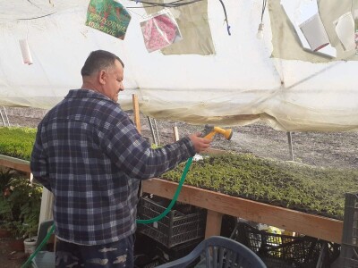 Bez zagrijavanja plastenika nemoguće je proizvesti kvalitetnu rasadu