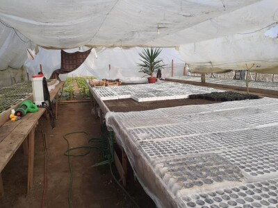 Bez zagrijavanja plastenika nemoguće je proizvesti kvalitetnu rasadu