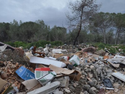 BIBINJE - Protiv podizanja najvećeg ekloškog  nasada rogača u Republici Hrvatskoj