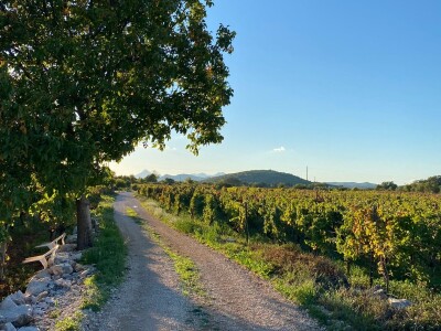 Biciklistička ruta kroz pet sela