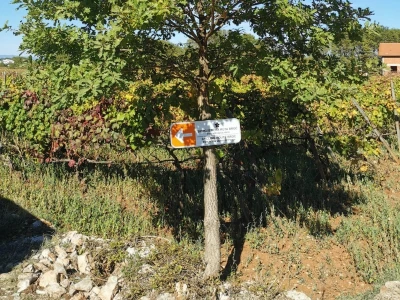 Biciklistička ruta kroz pet sela