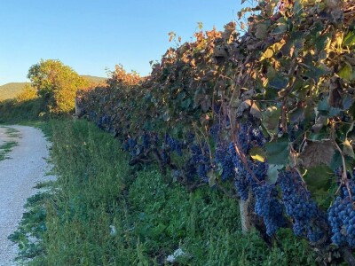 Biciklistička ruta kroz pet sela