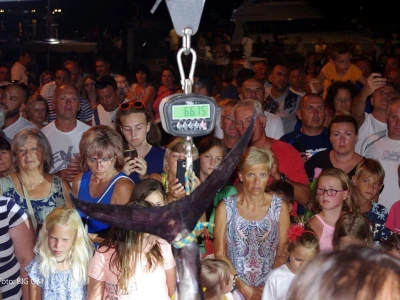 BIG OM 2019