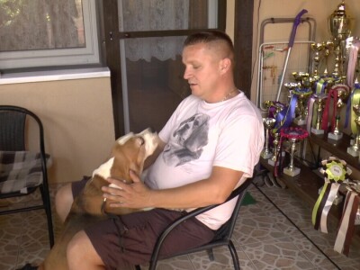 Biglovi šampionskog porekla traženi na tri kontinenta