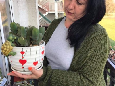 BiH kaktusi i sukulenti