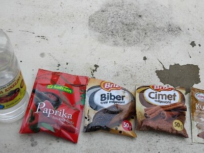 Bijela leptirasta vaš