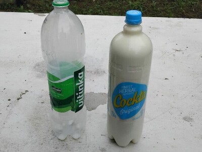 Bijela leptirasta vaš