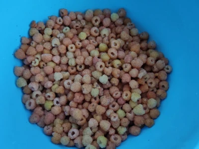 Bijela malina