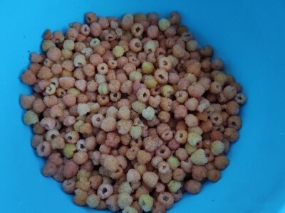 Bijela malina Bijela malina