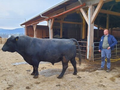 Braća Maturanec i njihov brand Braća Maturanec i njihov brand