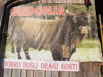 Bik Medonja