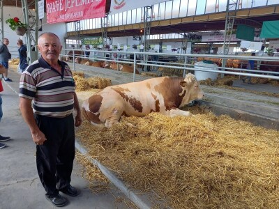 Bik Veliša Bik Veliša