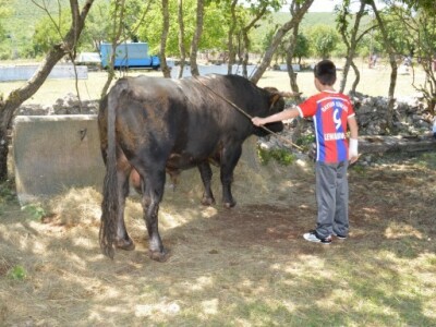 22. bikijada i seoska olimpijada