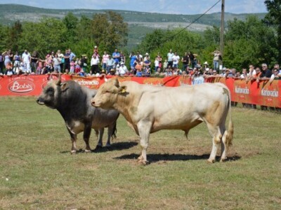 22. bikijada i seoska olimpijada