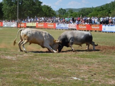 22. bikijada i seoska olimpijada