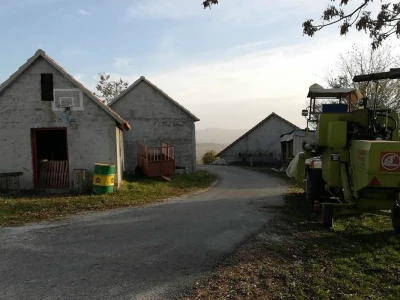 Bikovi porodice Lučić
