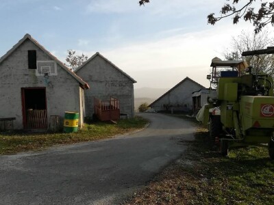 Bikovi porodice Lučić