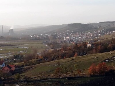 Bikovi porodice Lučić