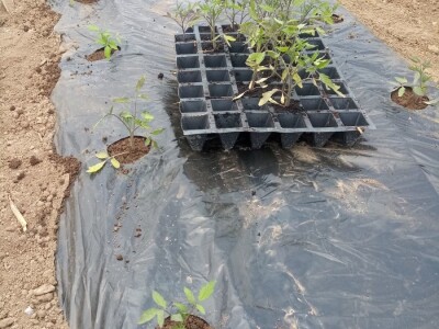 bila puna iskušenja i problema, drugu smo uspješno savladali