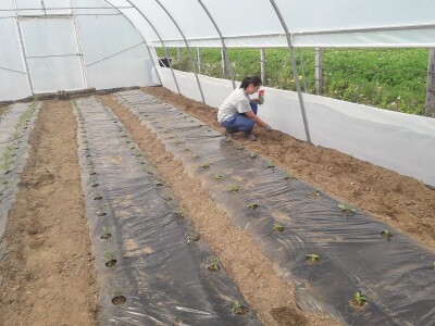 bila puna iskušenja i problema, drugu smo uspješno savladali