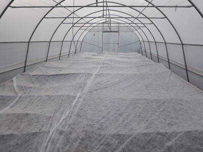 bila puna iskušenja i problema, drugu smo uspješno savladali