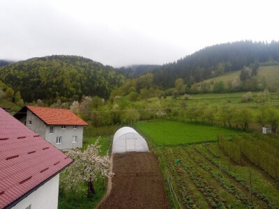 Prva godina u plasteničkoj proizvodnji je ubjedljivo najteža