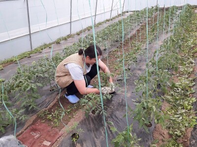 bila puna iskušenja i problema, drugu smo uspješno savladali