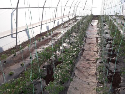 bila puna iskušenja i problema, drugu smo uspješno savladali