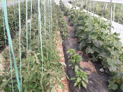 bila puna iskušenja i problema, drugu smo uspješno savladali