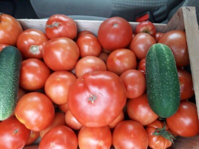 bila puna iskušenja i problema, drugu smo uspješno savladali