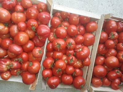 bila puna iskušenja i problema, drugu smo uspješno savladali