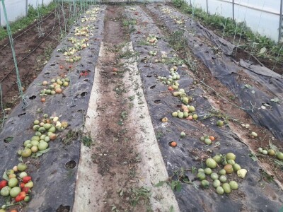bila puna iskušenja i problema, drugu smo uspješno savladali
