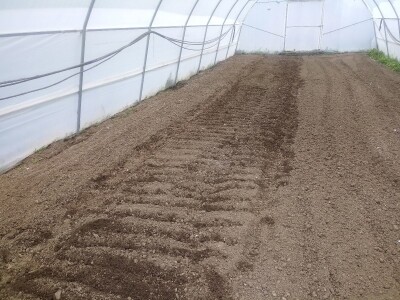 bila puna iskušenja i problema, drugu smo uspješno savladali