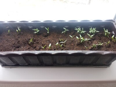 bila puna iskušenja i problema, drugu smo uspješno savladali