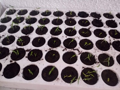 bila puna iskušenja i problema, drugu smo uspješno savladali