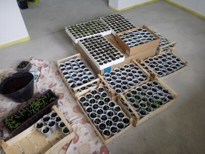 bila puna iskušenja i problema, drugu smo uspješno savladali