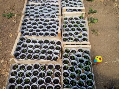 bila puna iskušenja i problema, drugu smo uspješno savladali