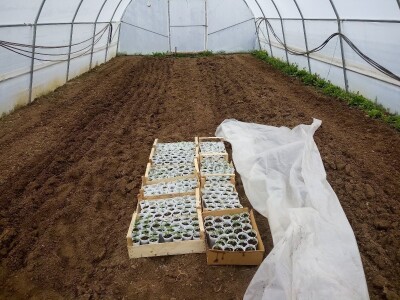 bila puna iskušenja i problema, drugu smo uspješno savladali