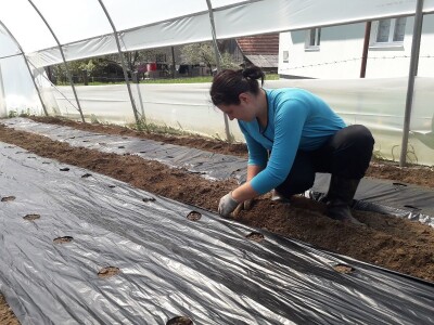 bila puna iskušenja i problema, drugu smo uspješno savladali