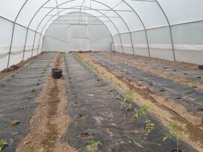 bila puna iskušenja i problema, drugu smo uspješno savladali