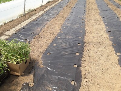 bila puna iskušenja i problema, drugu smo uspješno savladali