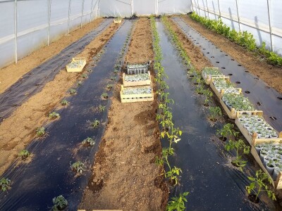 bila puna iskušenja i problema, drugu smo uspješno savladali